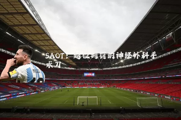 SAOT：越位判罚的神经外科手术刀